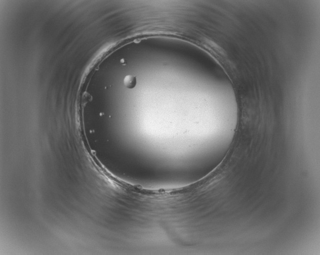 X0000062171188200512231618