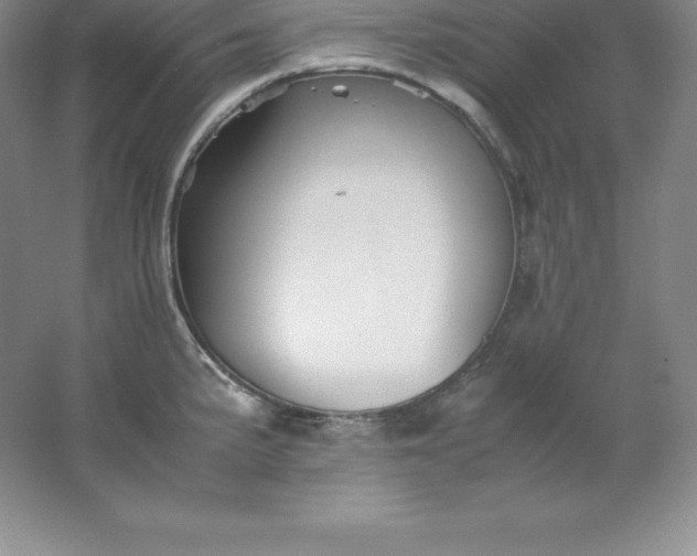 X0000062171191200512231618