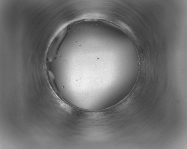 X0000062171192200512231618