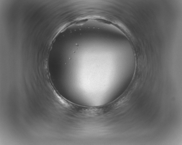 X0000062171193200512231618