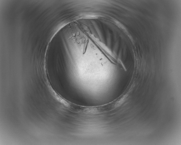 X0000062171194200512231618