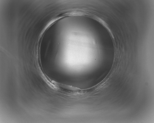 X0000062171195200512231618