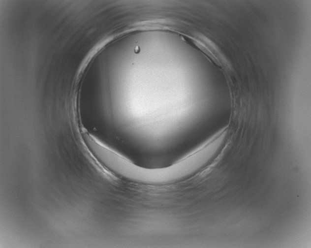 X0000062171196200512231618