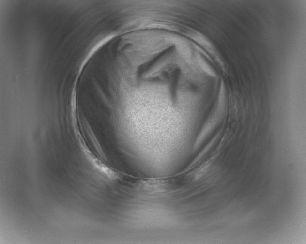 X0000062171198200512231617