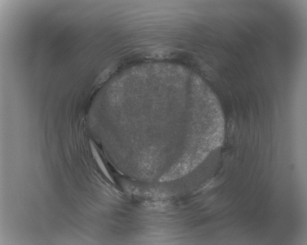 X0000062171202200512231617