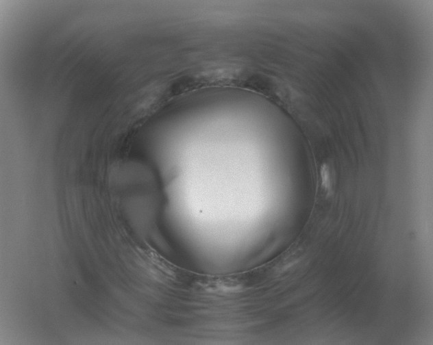 X0000062171203200512231617