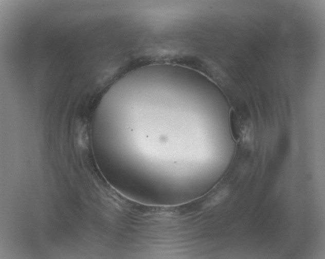 X0000062171204200512231617