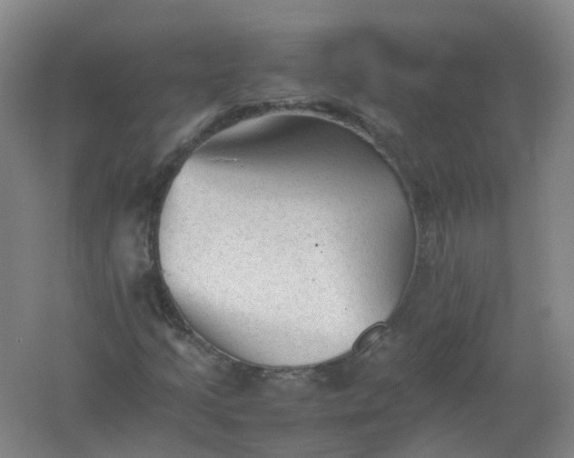 X0000062171205200512231617