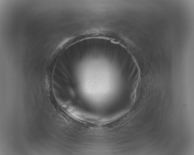 X0000062171206200512231617