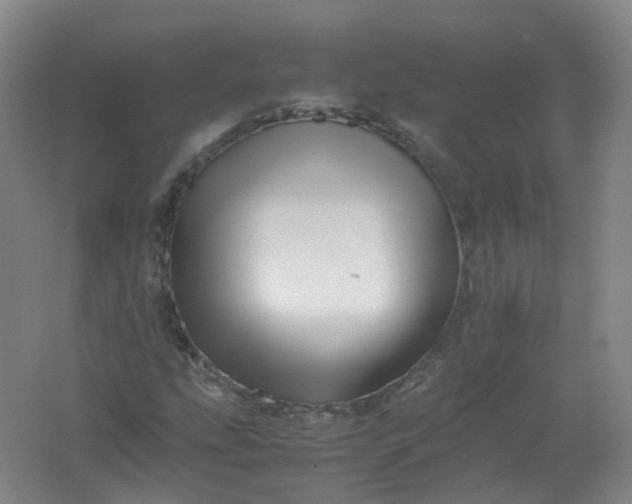 X0000062171207200512231617