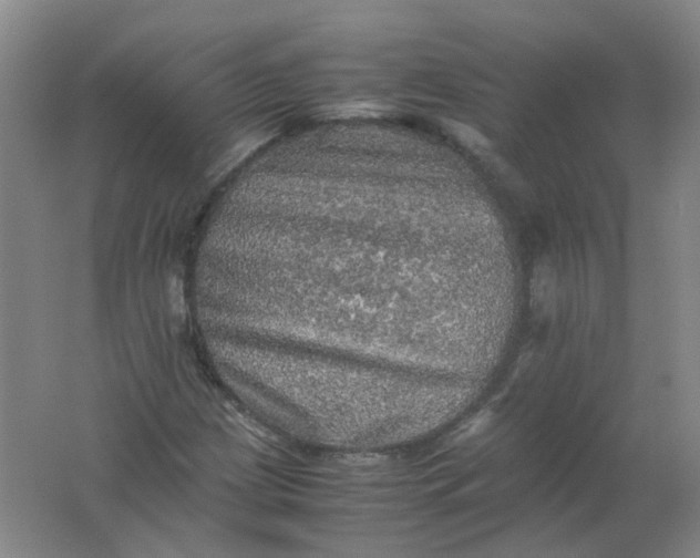 X0000062171209200512231617