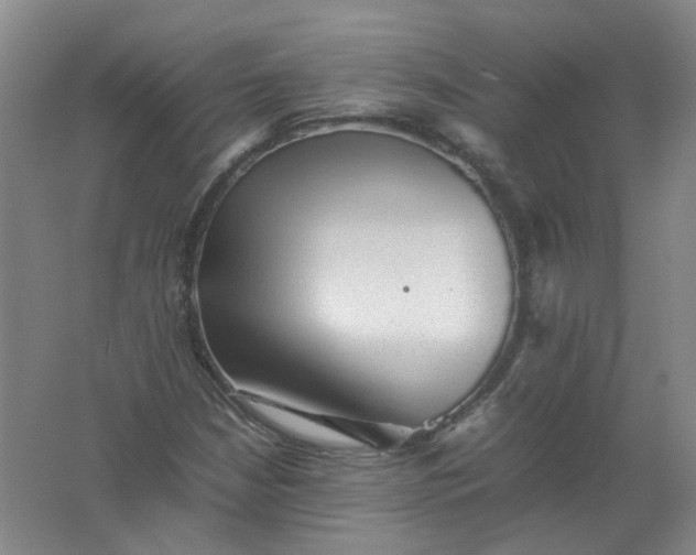 X0000062171210200512231617