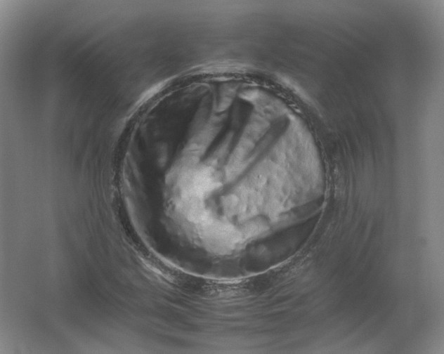 X0000062171213200512231617