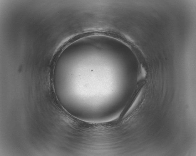 X0000062171214200512231617