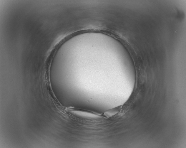 X0000062171215200512231617