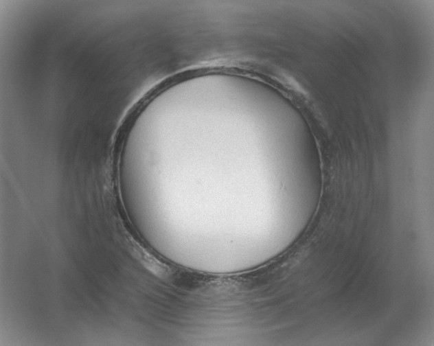 X0000062171216200512231617