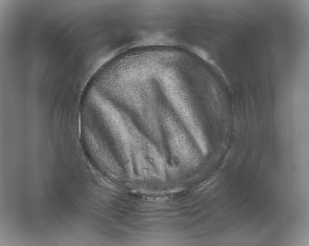 X0000062171221200512231617