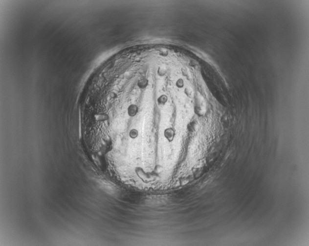 X0000062171223200512231617