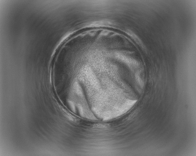 X0000062171224200512231617