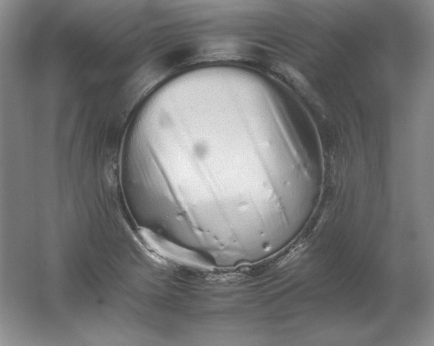 X0000062171225200512231617