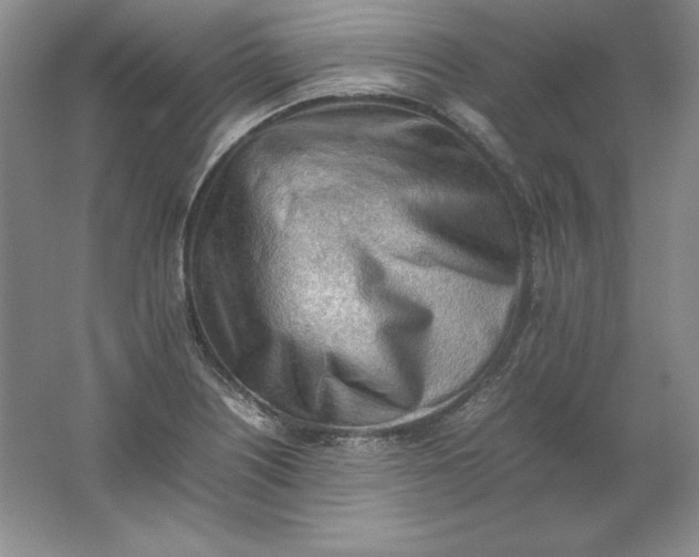 X0000062171226200512231617