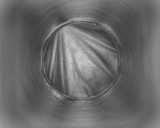 X0000062171228200512231617