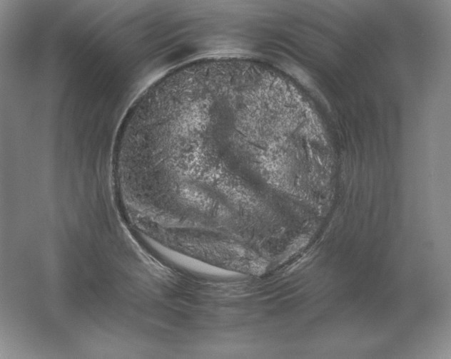 X0000062171229200512231617