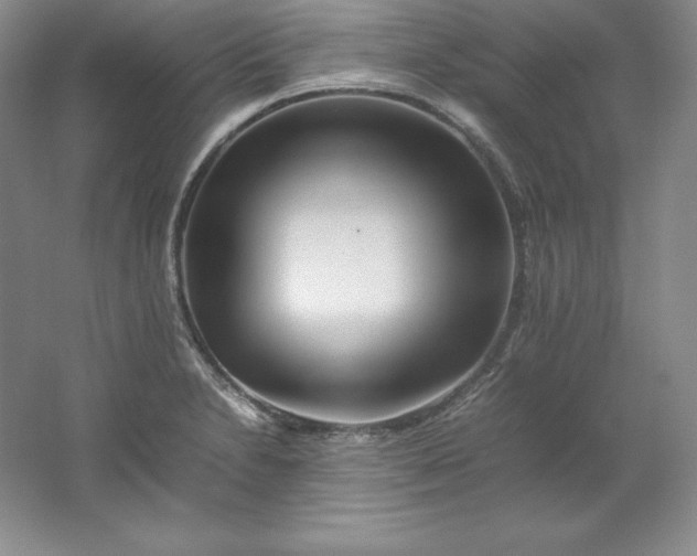 X0000062171230200512231617