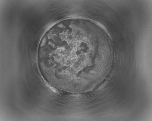 X0000062171231200512231617