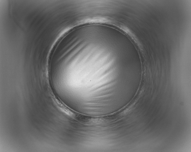 X0000062171232200512231617