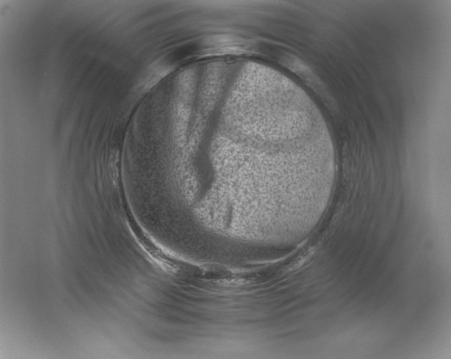 X0000062171233200512231617