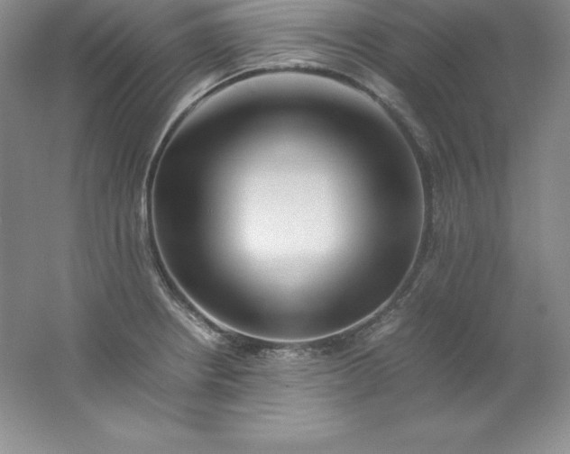 X0000062171234200512231617