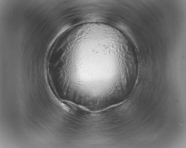 X0000062171235200512231617