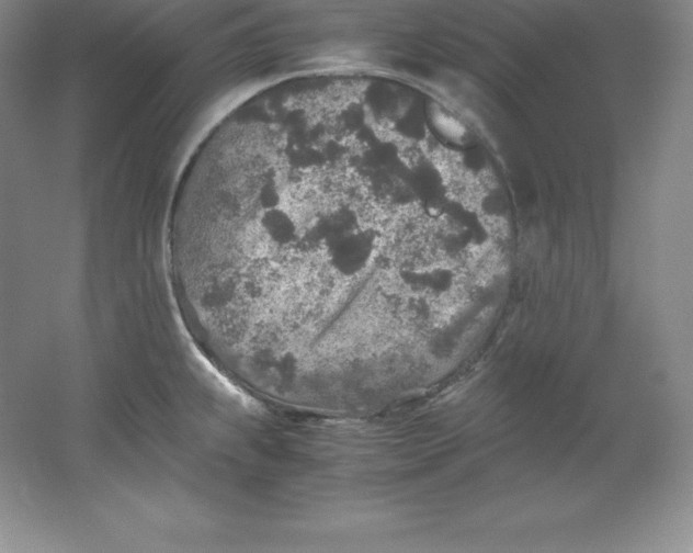 X0000062171239200512231617