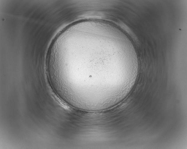 X0000062171240200512231617