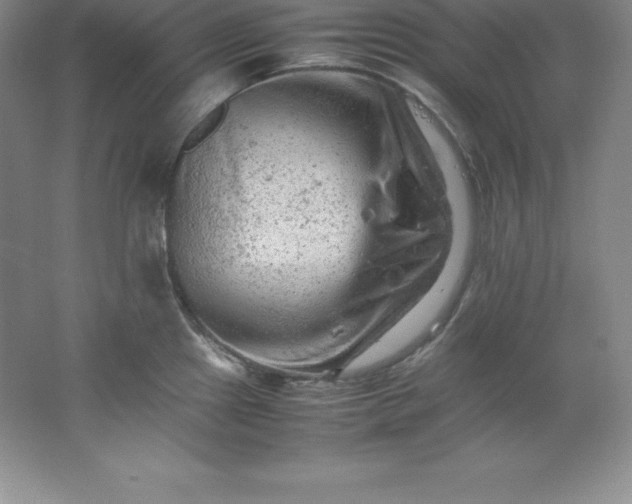 X0000062171241200512231617