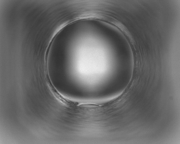 X0000062171242200512231617