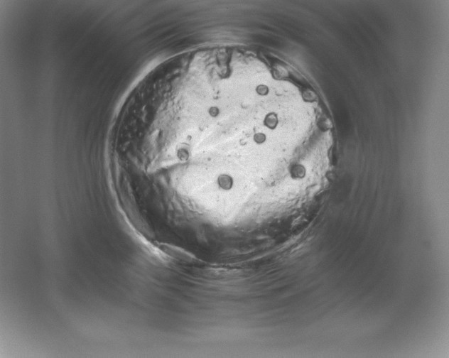 X0000062171243200512231617