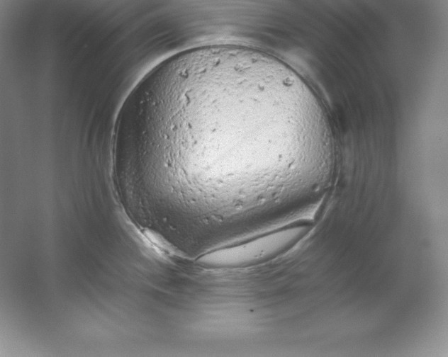 X0000062171244200512231617