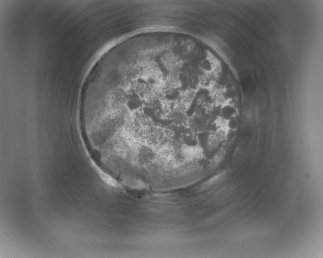 X0000062171245200512231617