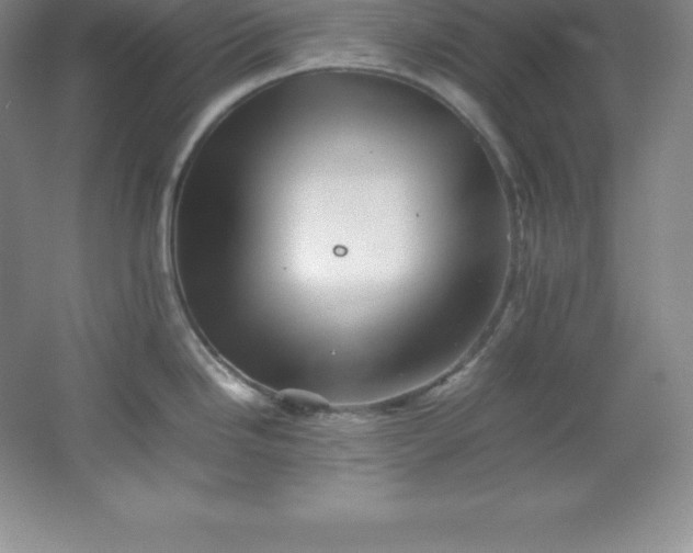 X0000062171246200512231617