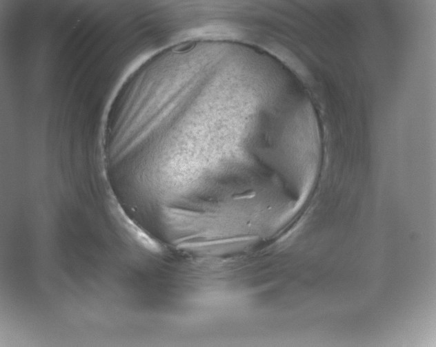 X0000062171248200512231617