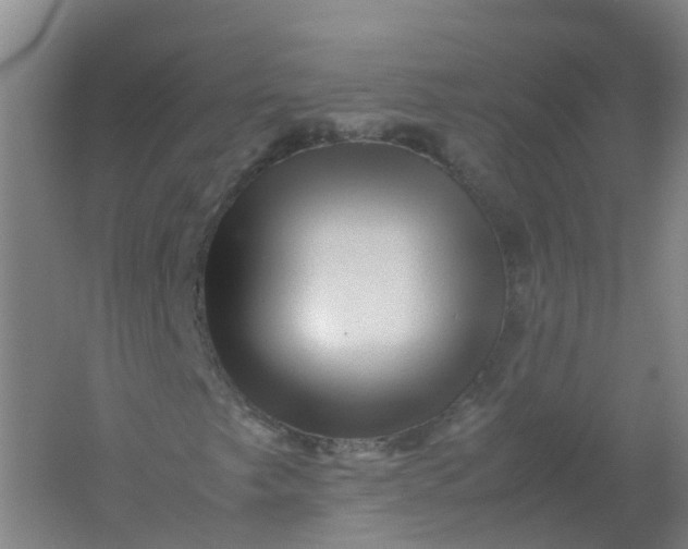 X0000062171249200512231617