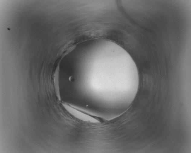 X0000062171250200512231617