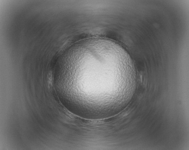 X0000062171251200512231617