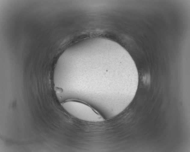 X0000062171252200512231617