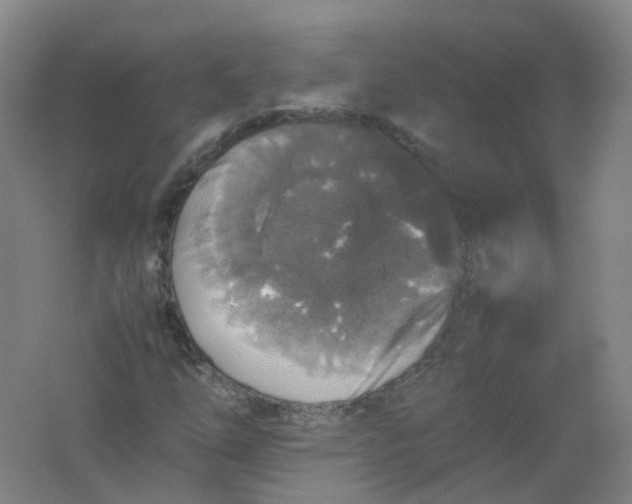 X0000062171254200512231616