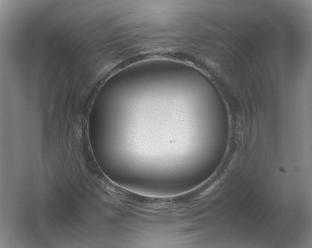 X0000062171257200512231616