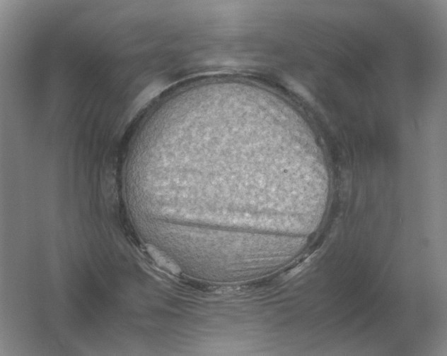 X0000062171259200512231616