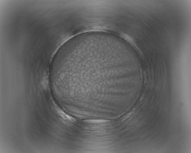 X0000062171260200512231616